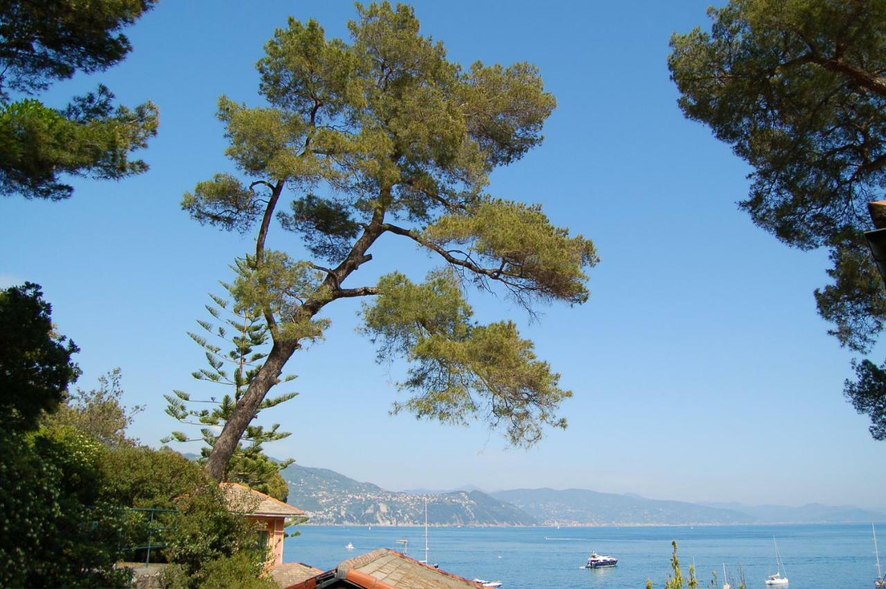 Portofino Seaview Apartment, 50 Meters From The Beach, Free Parking, Air Conditioning Paraggi Exterior foto